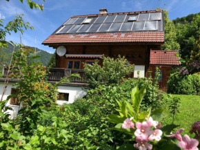 Dachstein Chalet - FH Panorama Bad Goisern Am Hallstättersee